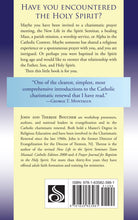 Load image into Gallery viewer, An Introduction to the Catholic Charismatic Renewal